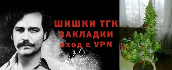 гидра Балахна