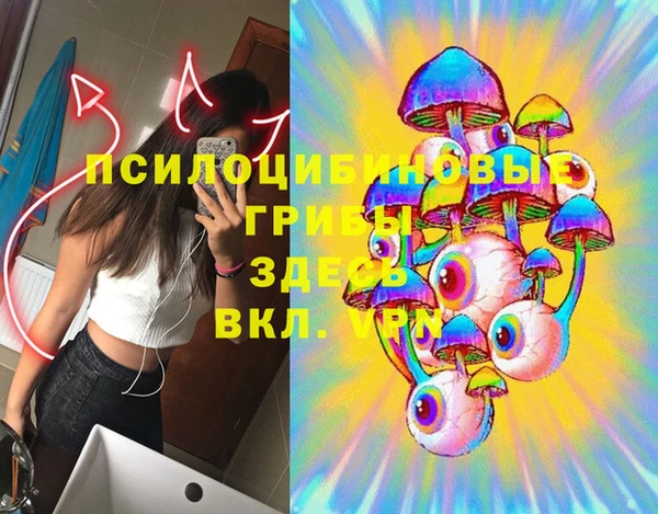 гидра Балахна