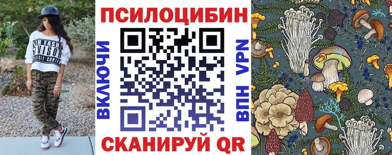 как найти   Облучье  Псилоцибиновые грибы мухоморы 